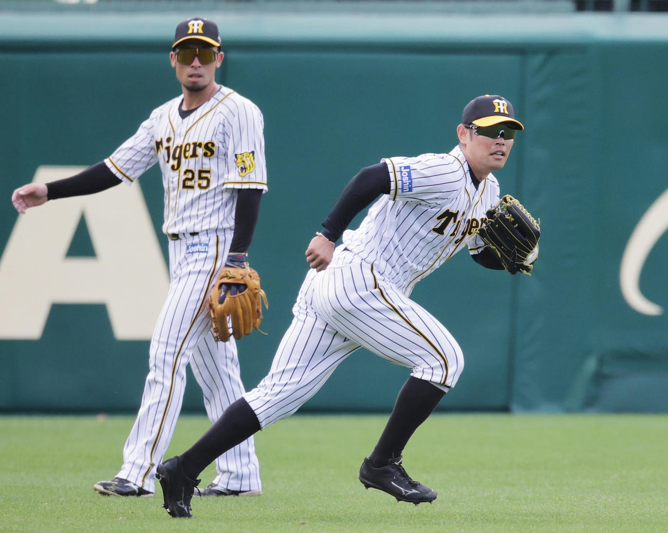 外野守備練習を行う阪神原口（右）、左は江越（撮影・清水貴仁）