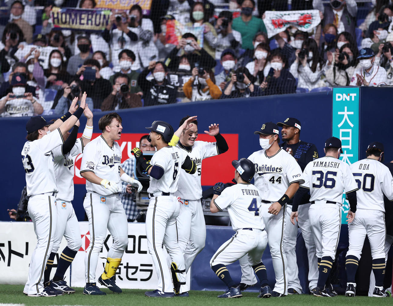 オリックス対ロッテ　6回裏オリックス1死一塁、右越え2点本塁打の宗（左から4人目）を大喜びで出迎えるナイン（撮影・垰建太）