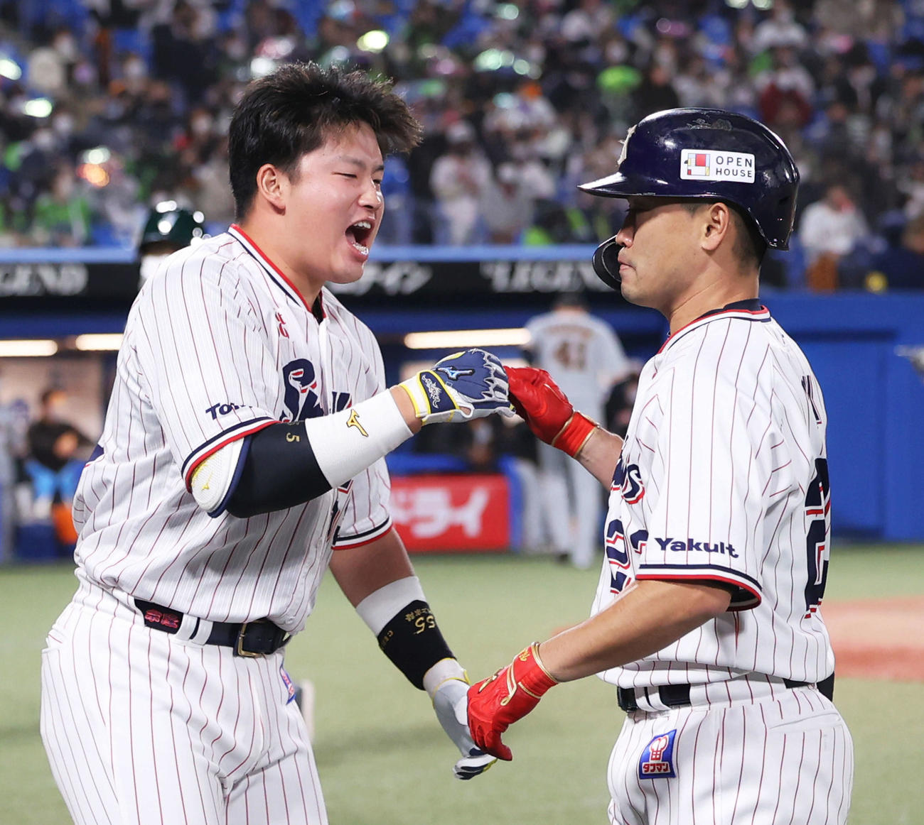 ヤクルト対巨人　7回裏を終え、2点適時打を放った青木（右）とグータッチする村上（撮影・河田真司）