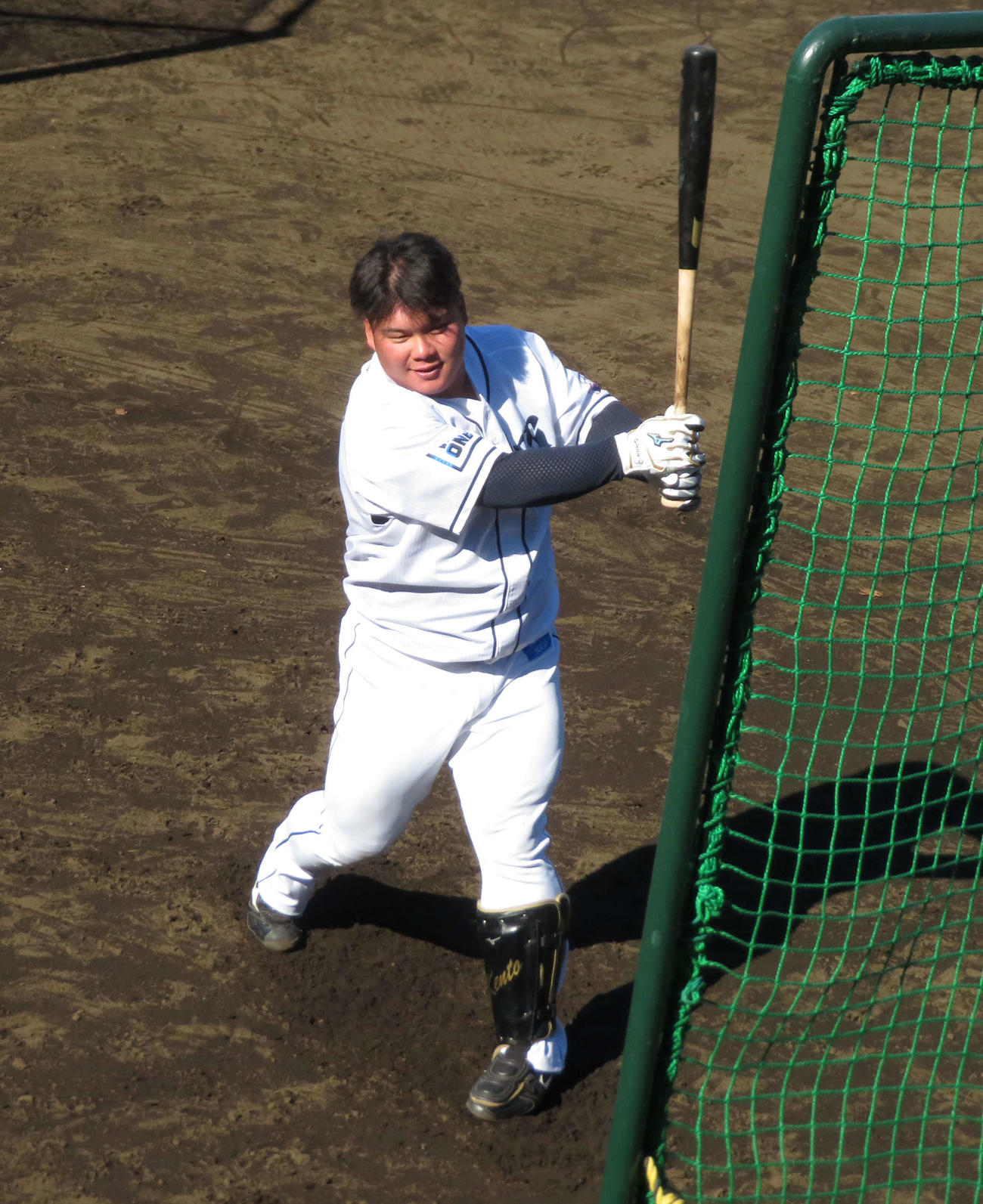 秋季練習でティー打撃する西武渡部（撮影・久保賢吾）