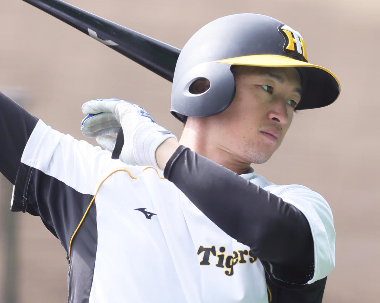阪神近本光司（2021年11月5日撮影）
