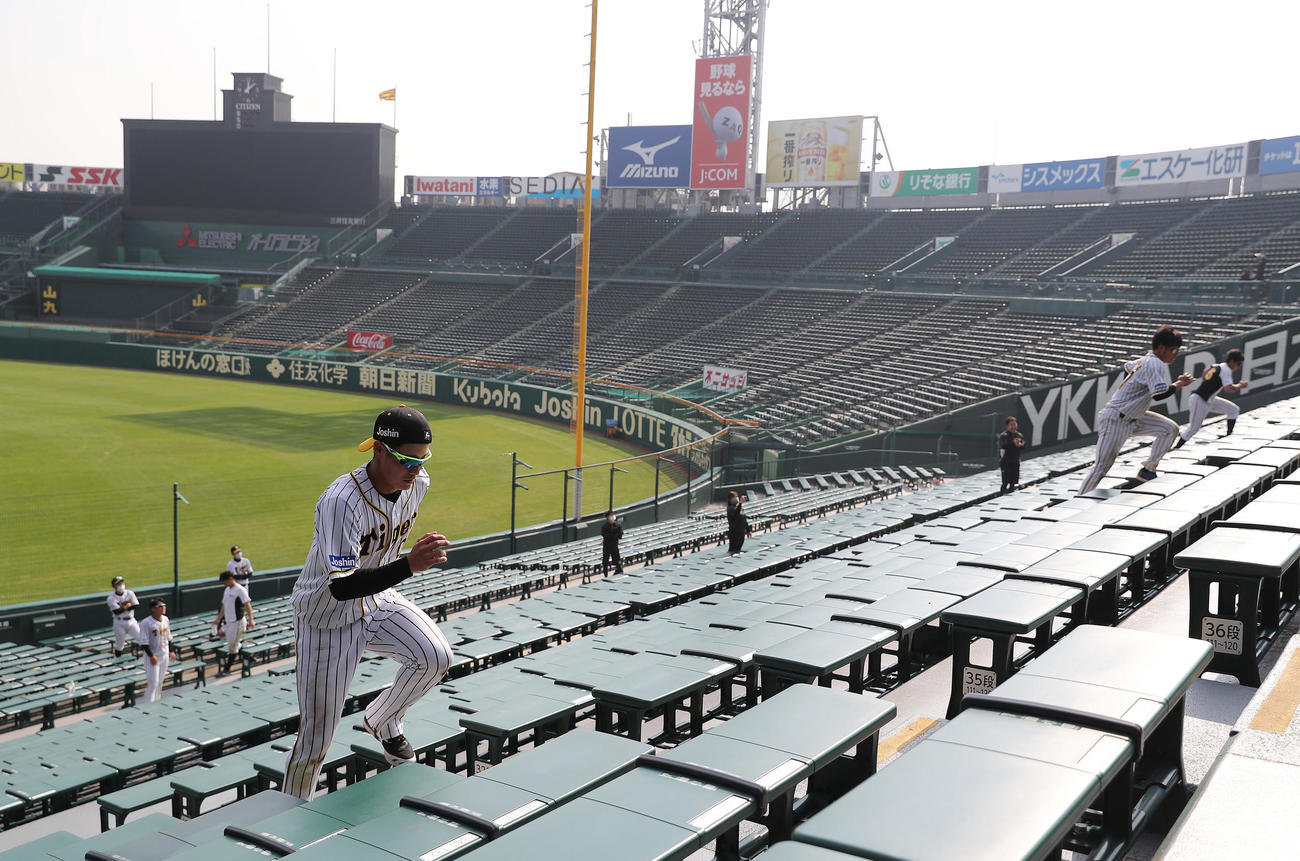 アルプススタンドの階段を駆け上がる阪神木浪聖也（手前左）ら（撮影・前田充）