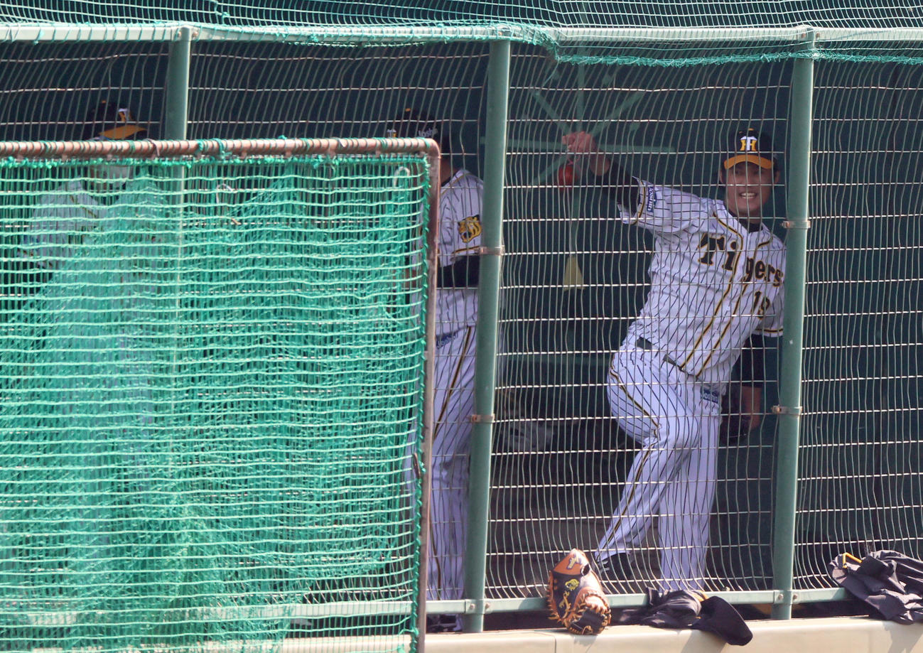 ブルペンで投げ込む藤浪晋太郎（撮影・上山淳一）
