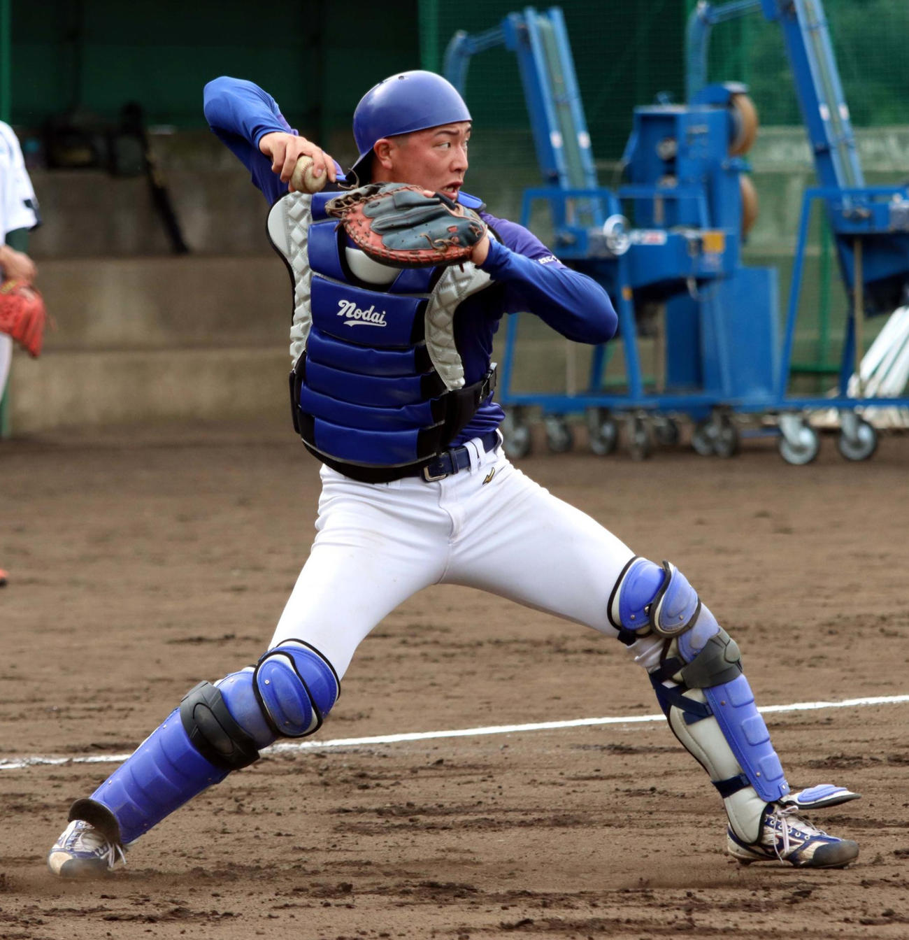 気合の入った表情で送球する東農大北海道の古間木（撮影・永野高輔）