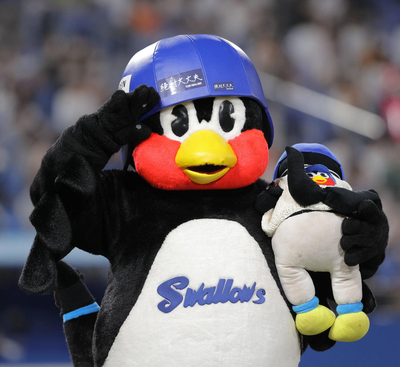 ポーズをとるつば九郎（2021年10月15日撮影）