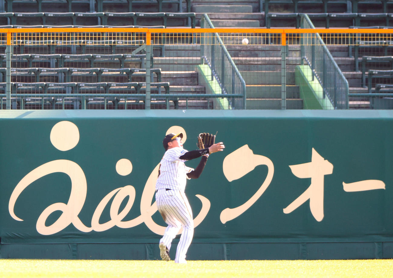シート打撃練習で左翼を守った大山は遠藤の飛球を好捕する（撮影・上山淳一）