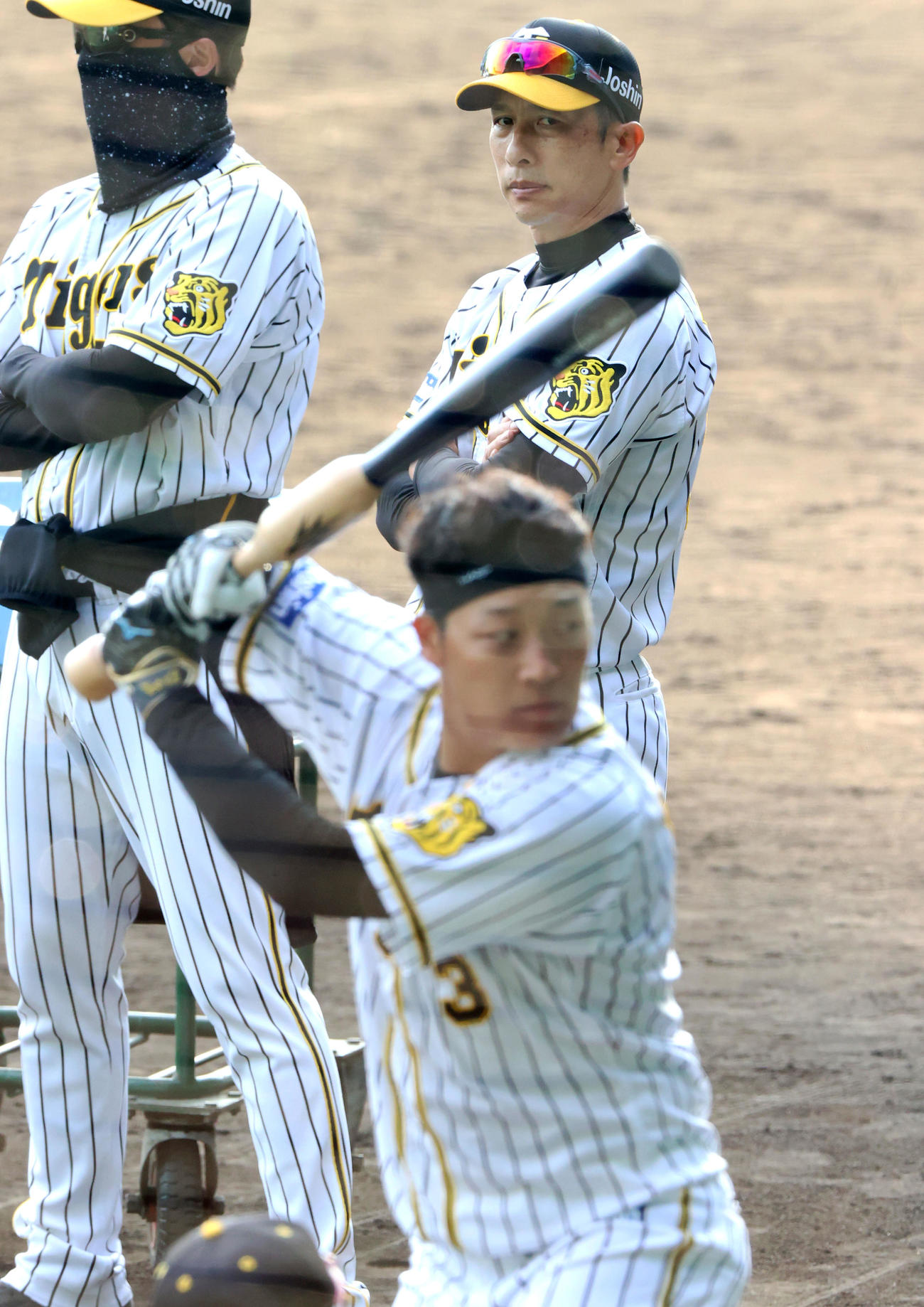 個別練習でバットを振る大山（手前）を見る矢野監督（撮影・上山淳一）