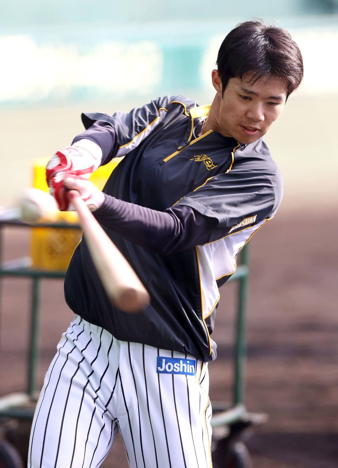 トス打撃する中野（撮影・上山淳一）