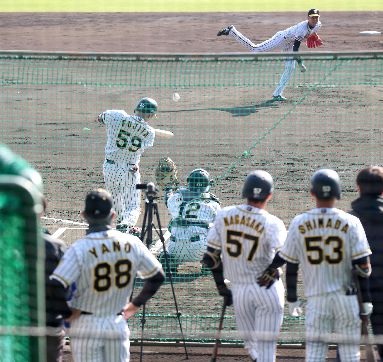 シート打撃練習で投球する才木（撮影・上山淳一）