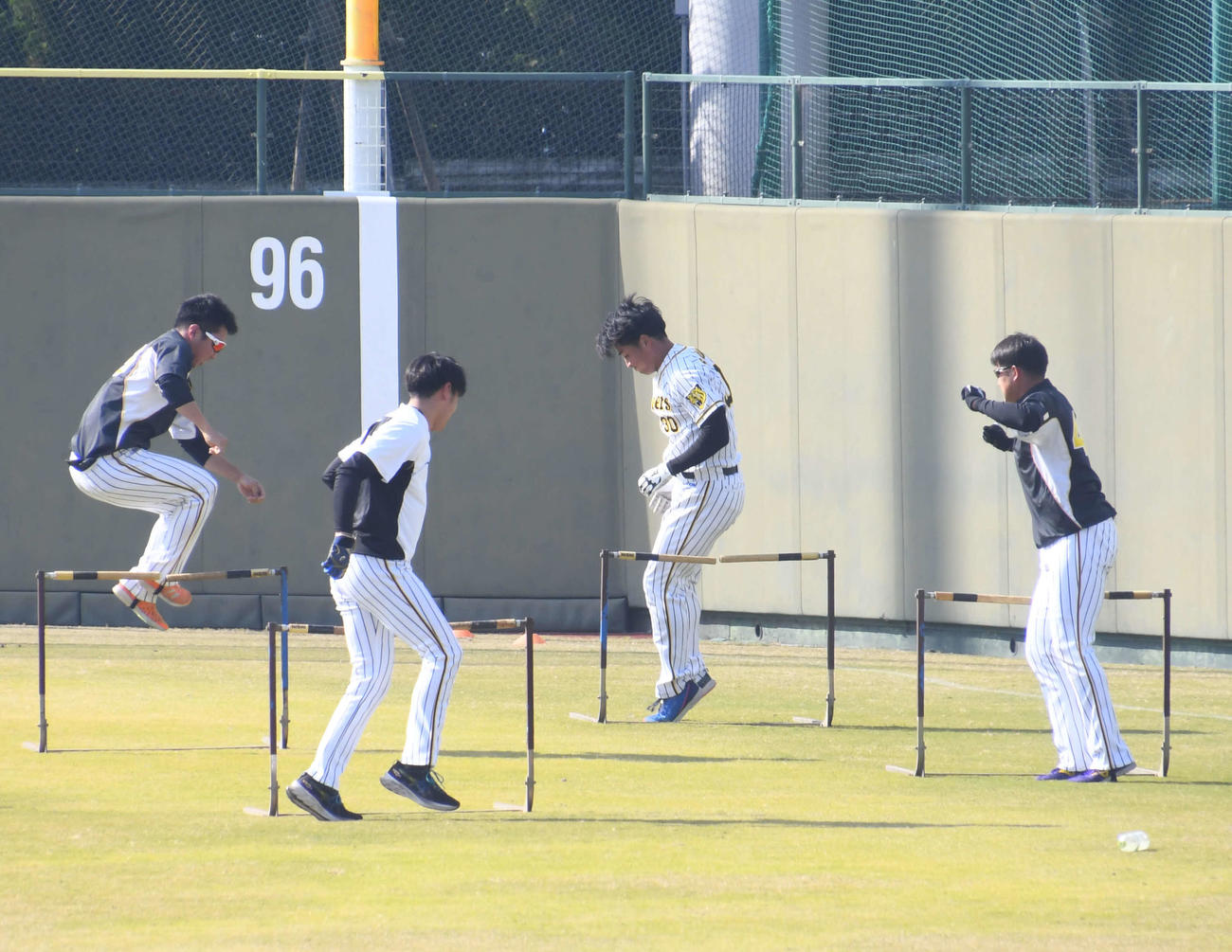 サーキットトレーニングでハードルジャンプを行う阪神佐藤蓮ら（右から2番目）（撮影・中野椋）
