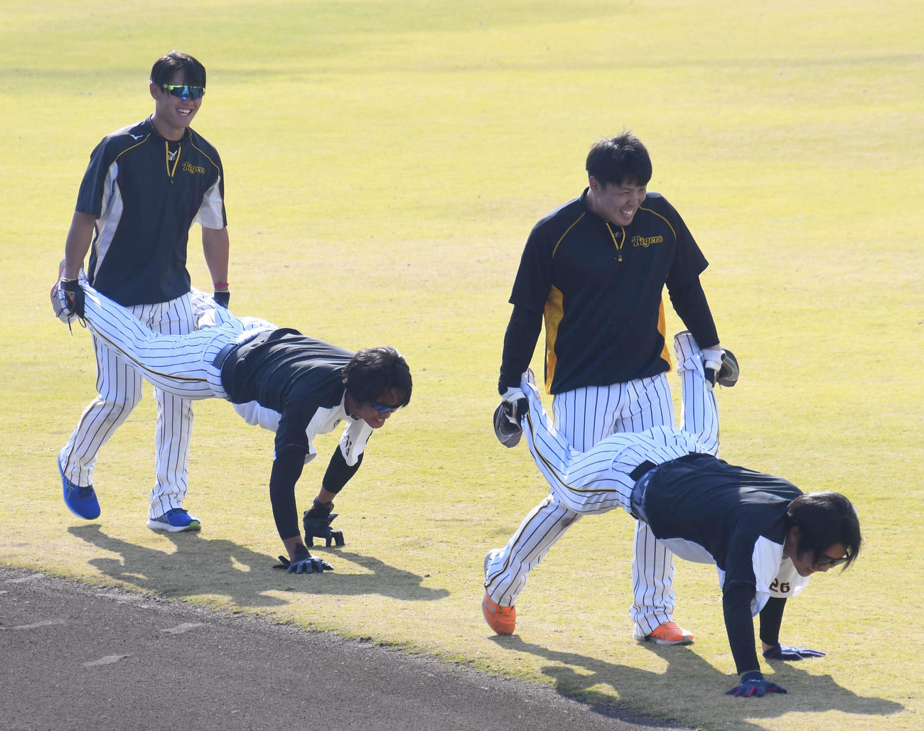 サーキットトレーニングで手押し車する、左から阪神西純、藤浪、馬場、牧（撮影・中野椋）