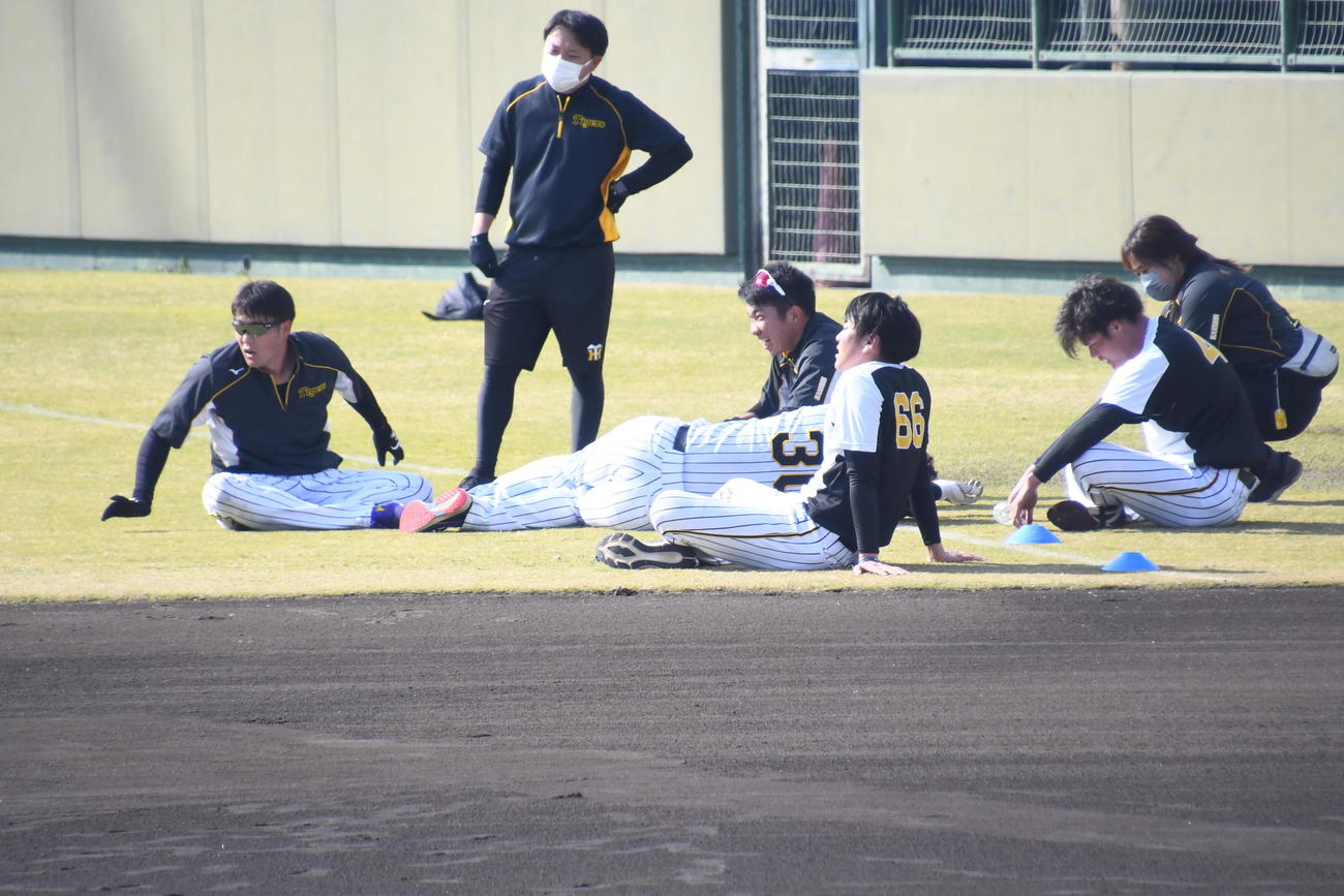サーキットトレーニングの手押し車で疲れ果てた佐藤蓮（中央、30）は思わず倒れ込む（撮影・中野椋）