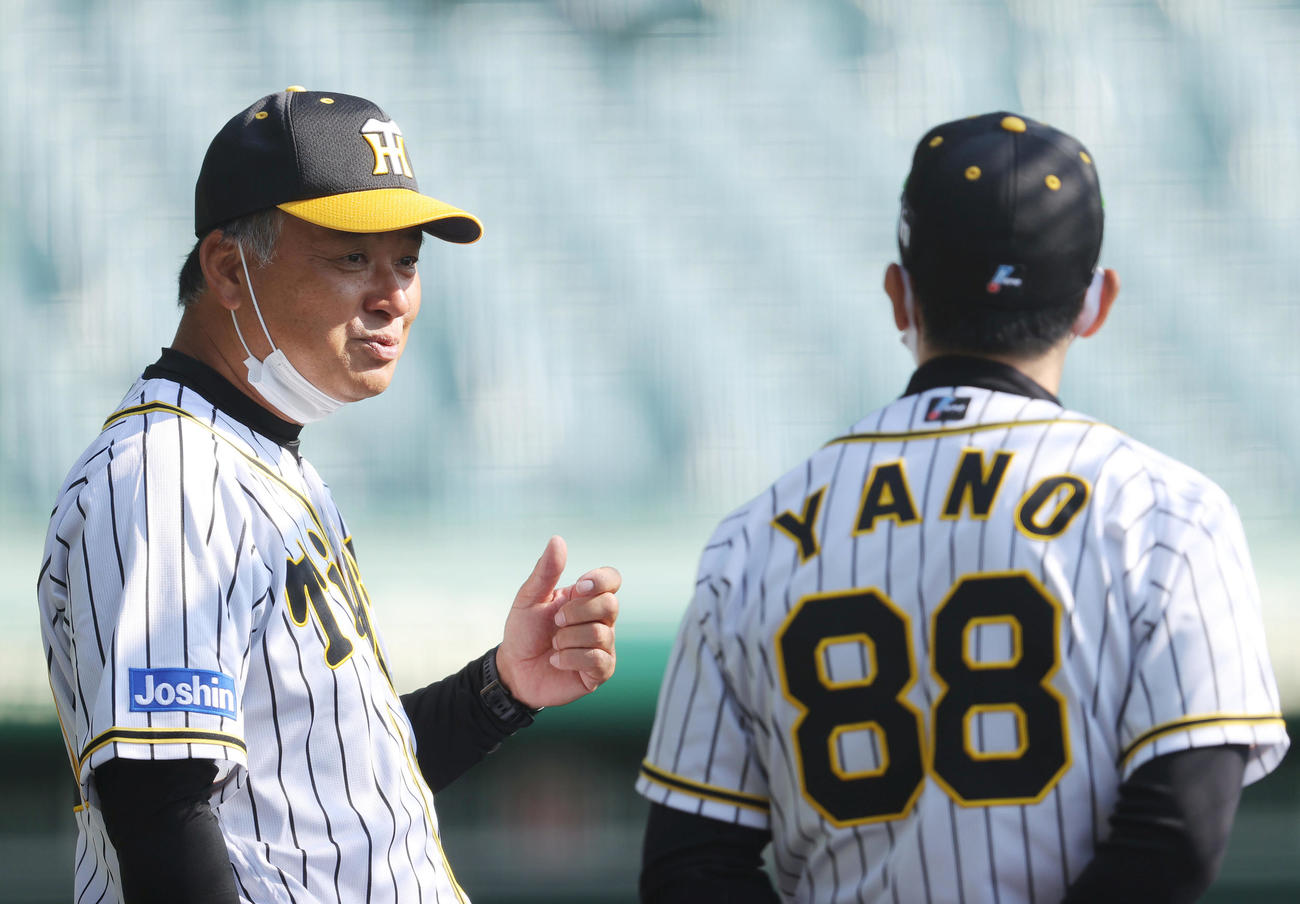 練習中、阪神矢野監督（右）と言葉を交わす藤井コーチ（撮影・前田充）