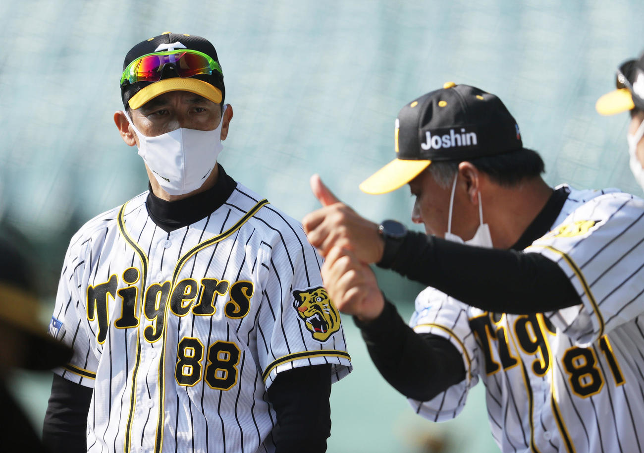 選手らのフリー打撃を見つめる合間に阪神藤井コーチ（右）と話す矢野監督（撮影・前田充）