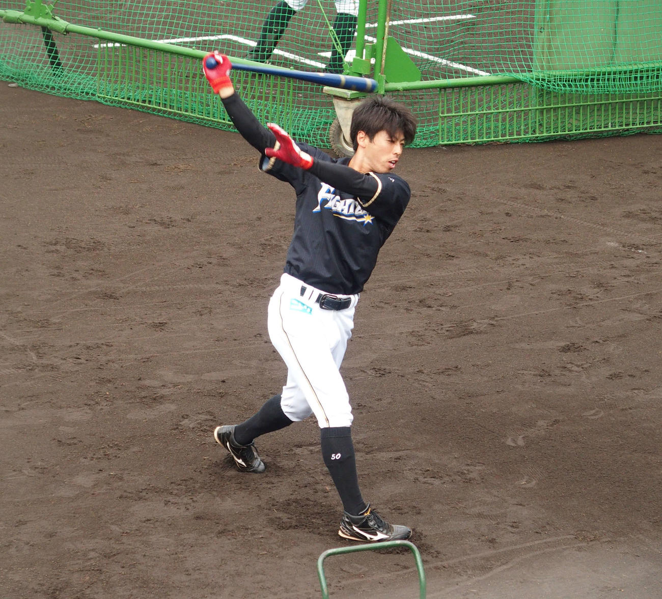 秋季練習でティー打撃を行う日本ハム五十幡（撮影・中島宙恵）