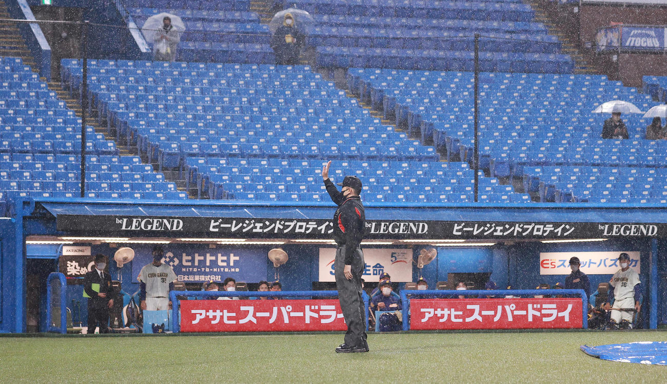 中央学院大対佛教大　8回裏2死、降雨コールド試合をコールする牧野球審。奥は中央学院大ベンチ（撮影・野上伸悟）