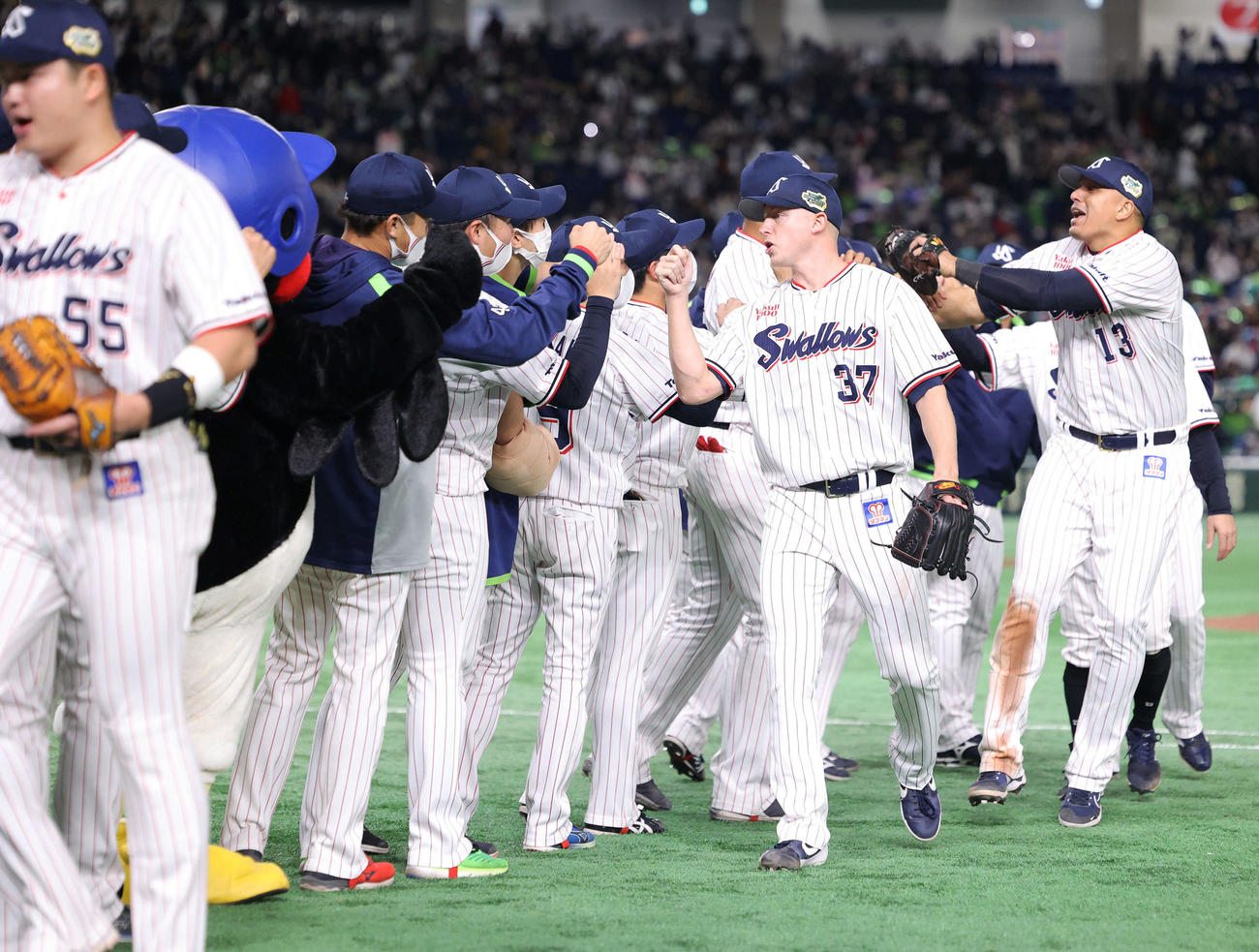 ヤクルト対オリックス　オリックスに勝利し、グータッチするヤクルトナイン（撮影・河田真司）
