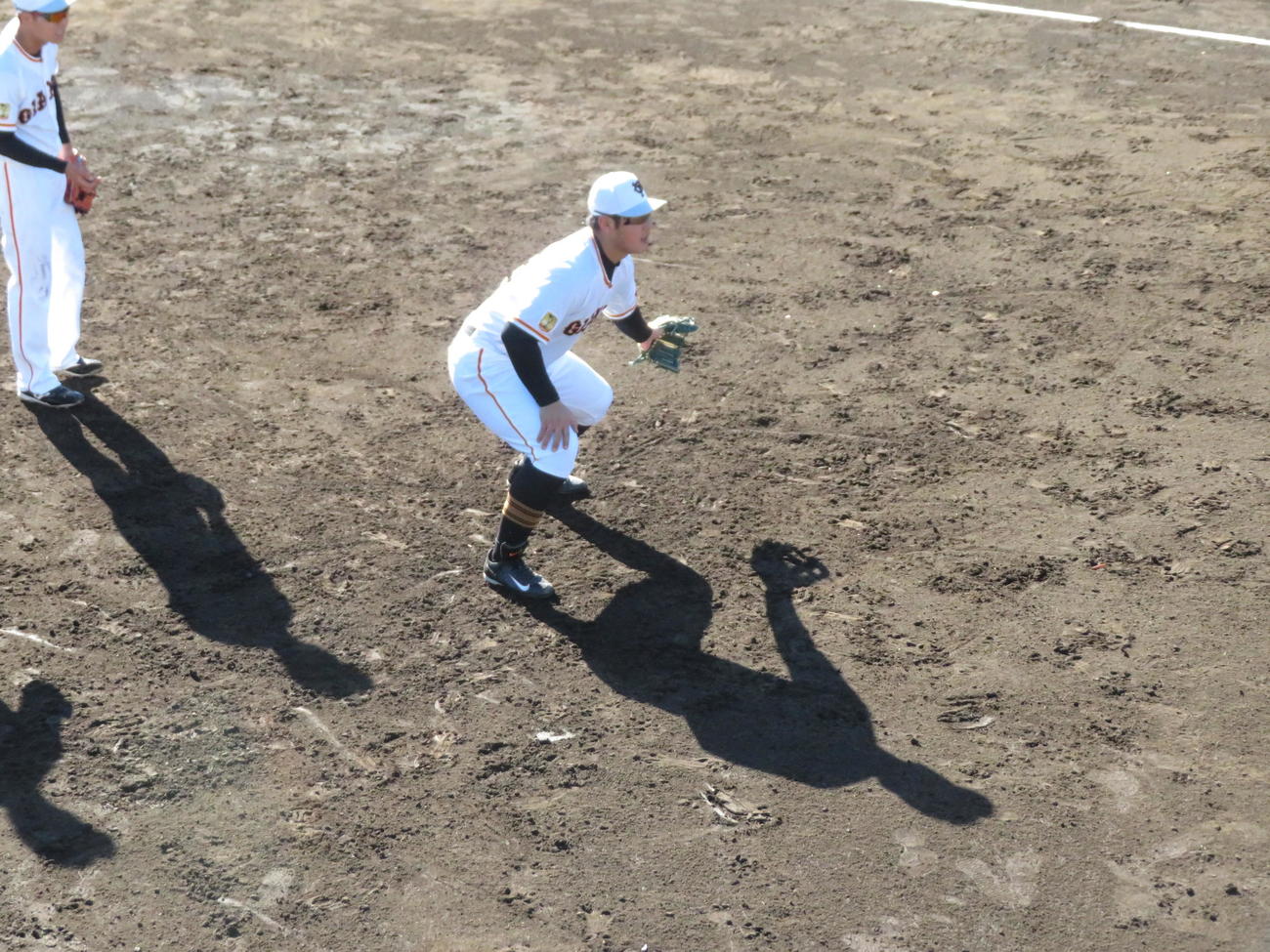 秋季練習でノックを受ける巨人岡本和（撮影・久保賢吾）