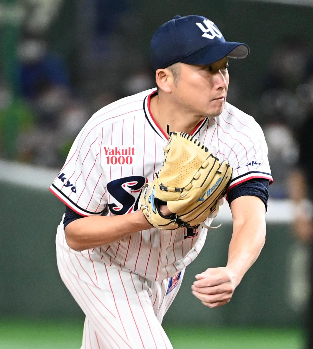 ヤクルト先発の石川雅規（撮影・前岡正明）