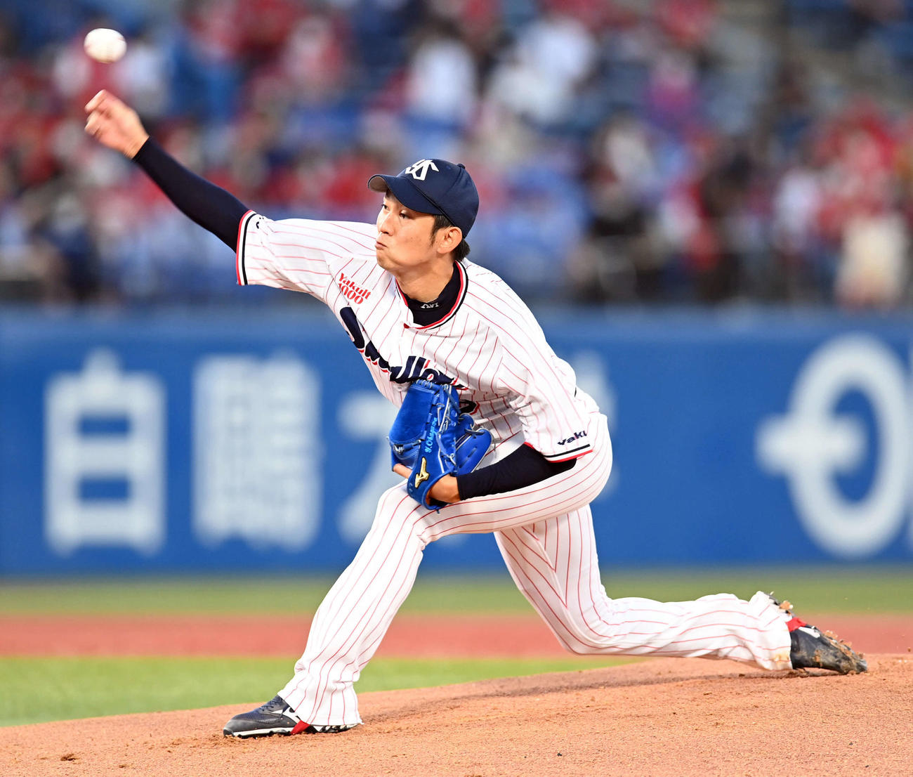 ヤクルト原樹理