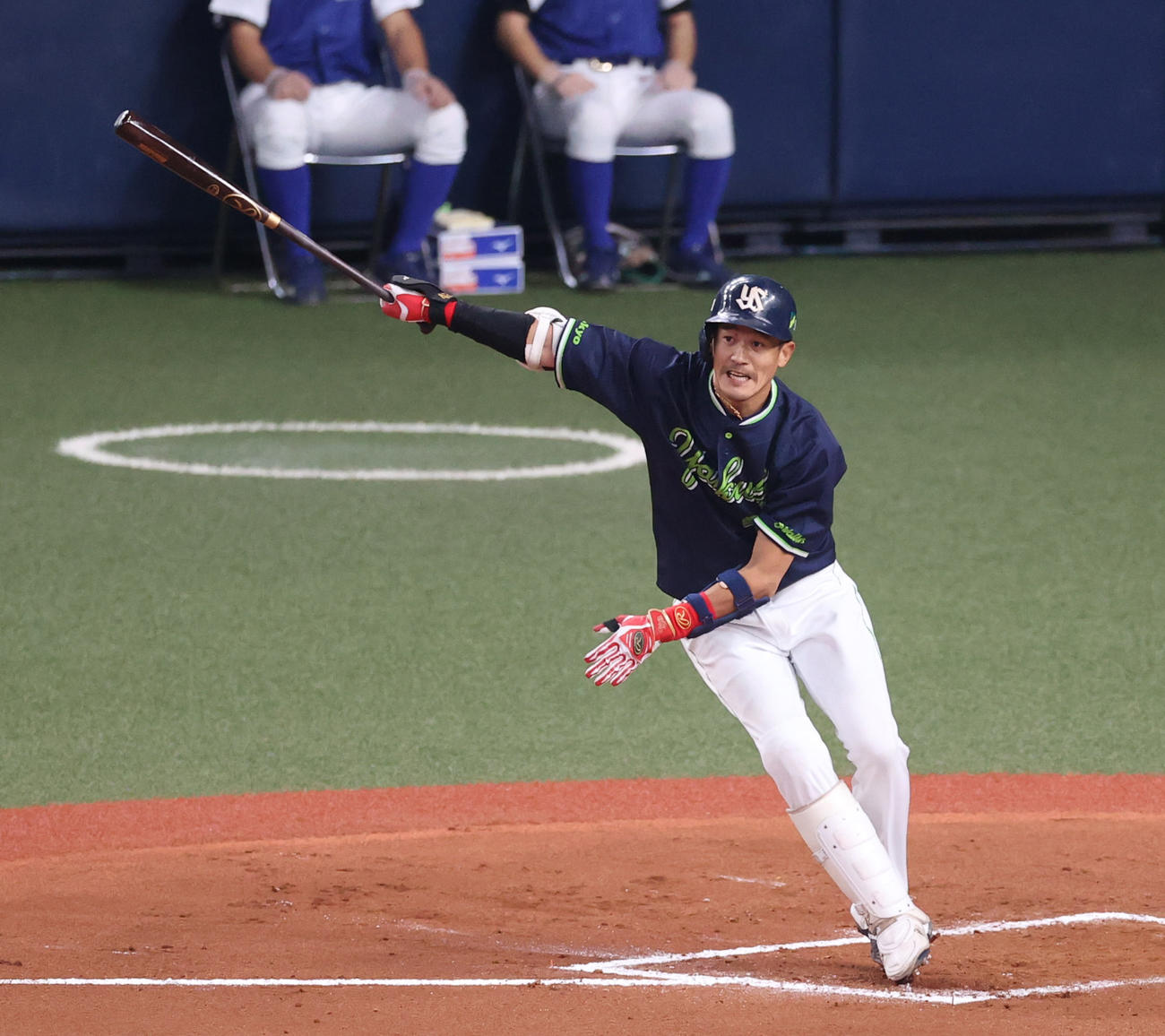 ヤクルト坂口智隆（2021年11月21日撮影）