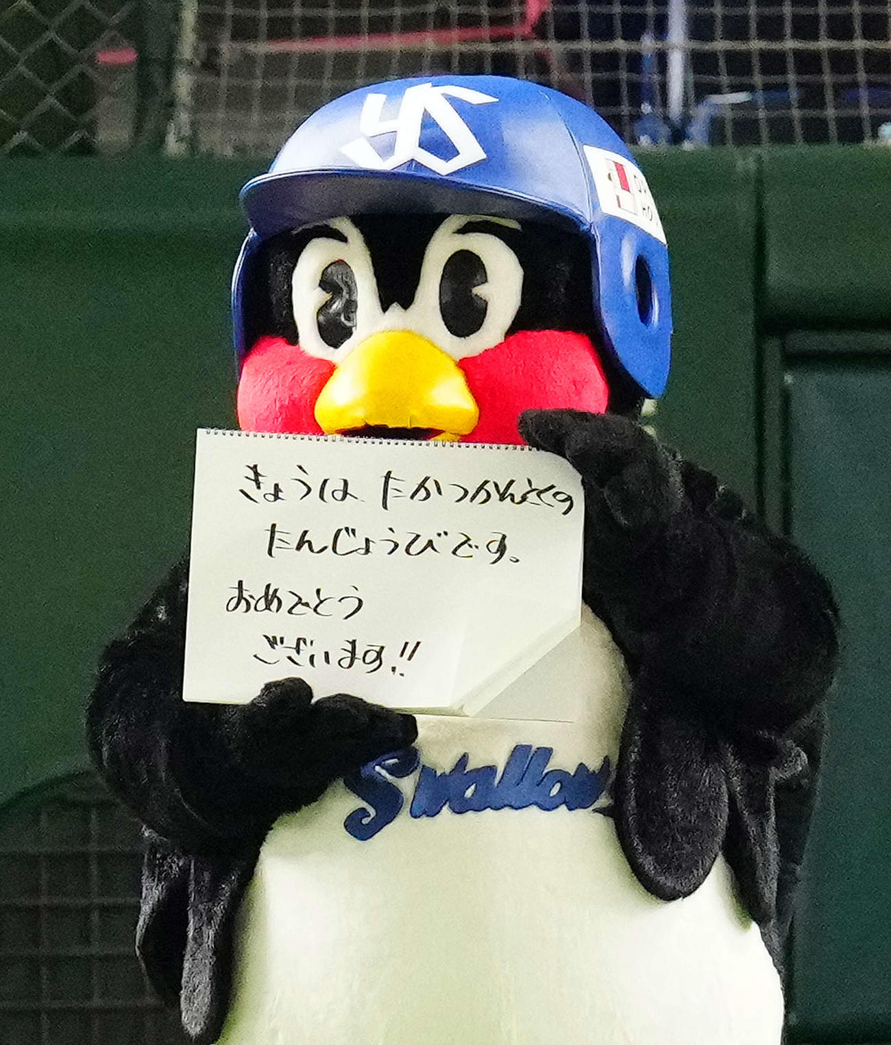 ヤクルト対オリックス　試合前、フリップ芸でヤクルト高津監督の誕生日を祝う、つば九郎（撮影・江口和貴）