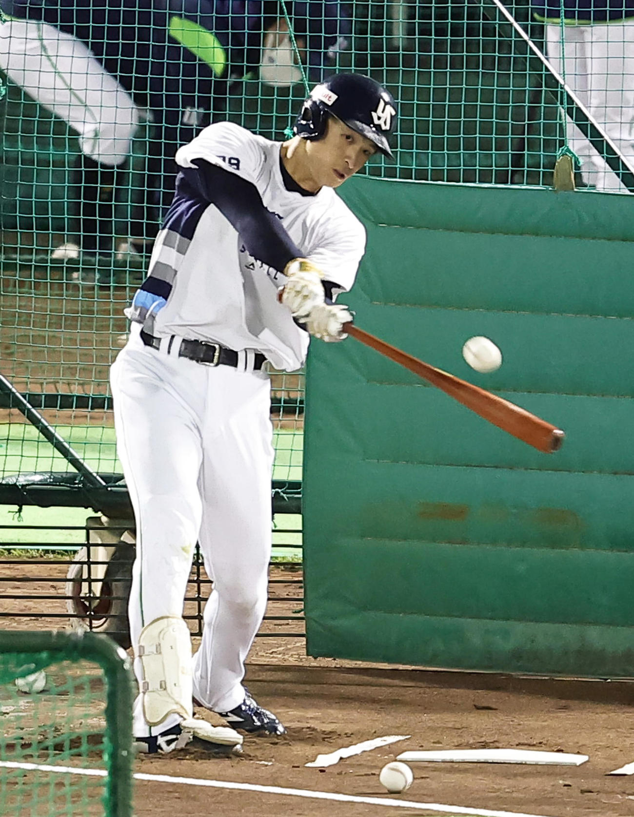 打撃練習するヤクルト宮本（撮影・足立雅史）