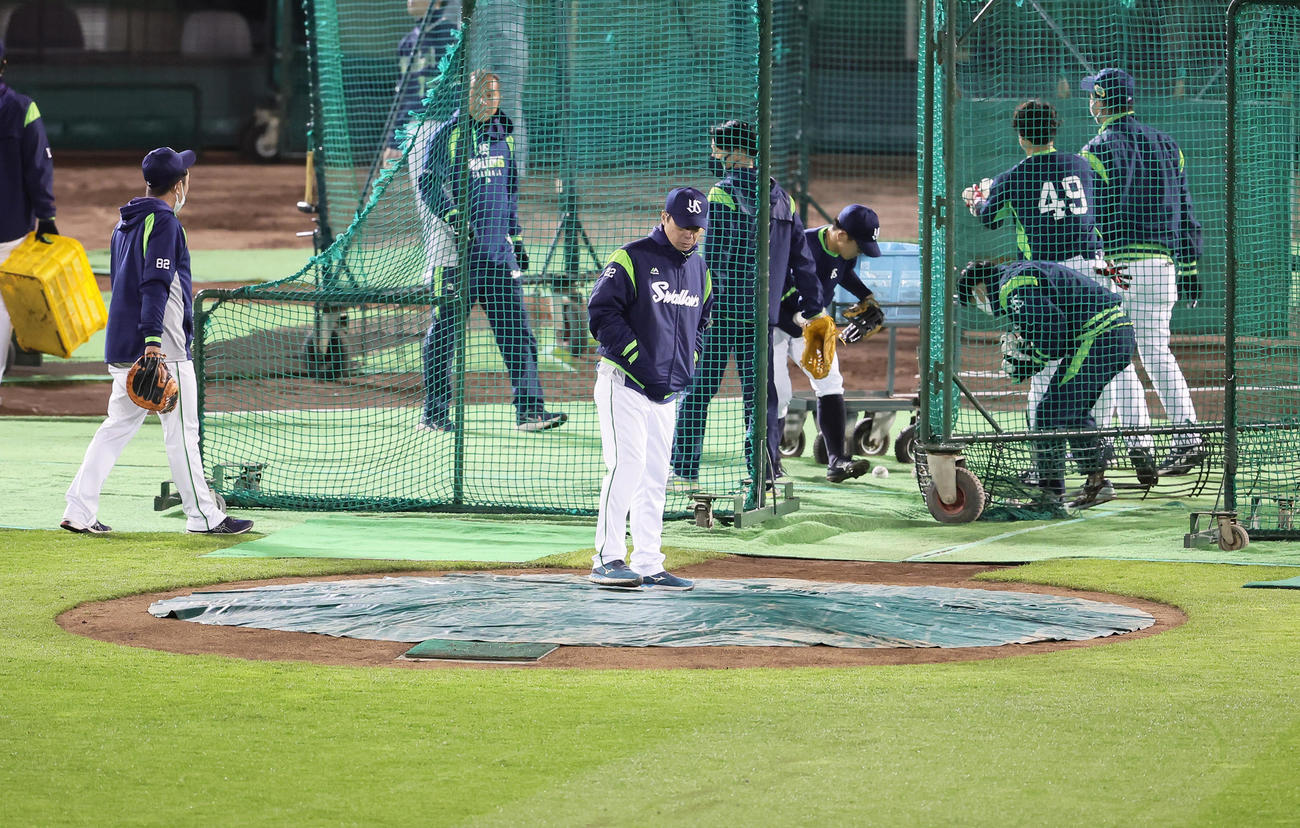 マウンドの感触を確かめるヤクルト高津監督（撮影・足立雅史）