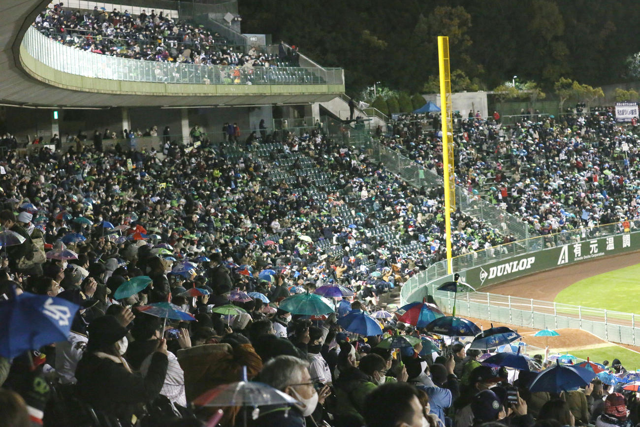 ラッキー7で東京音頭に合わせて盛り上がるヤクルトファン（撮影・上山淳一）