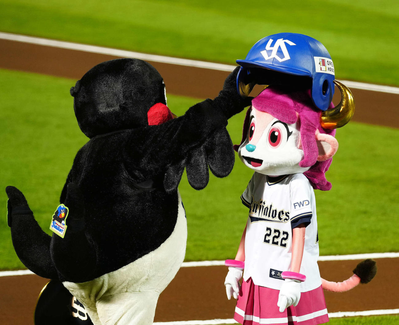 バファローベル（右）に自身の帽子をかぶせるつば九郎（撮影・江口和貴）