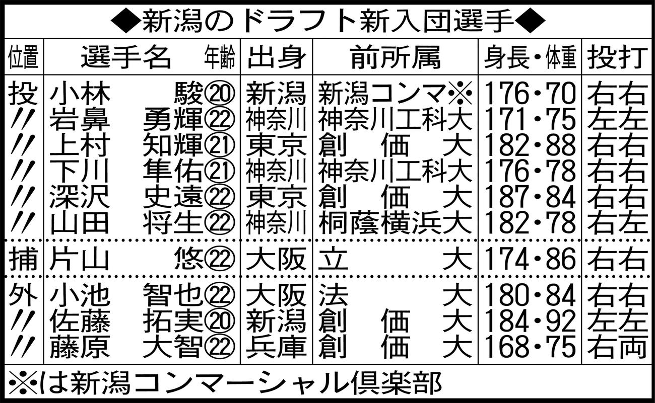 新潟のドラフト新入団選手
