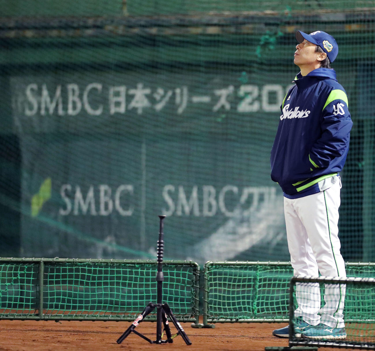 上空を見上げるヤクルト高津監督（撮影・河田真司）
