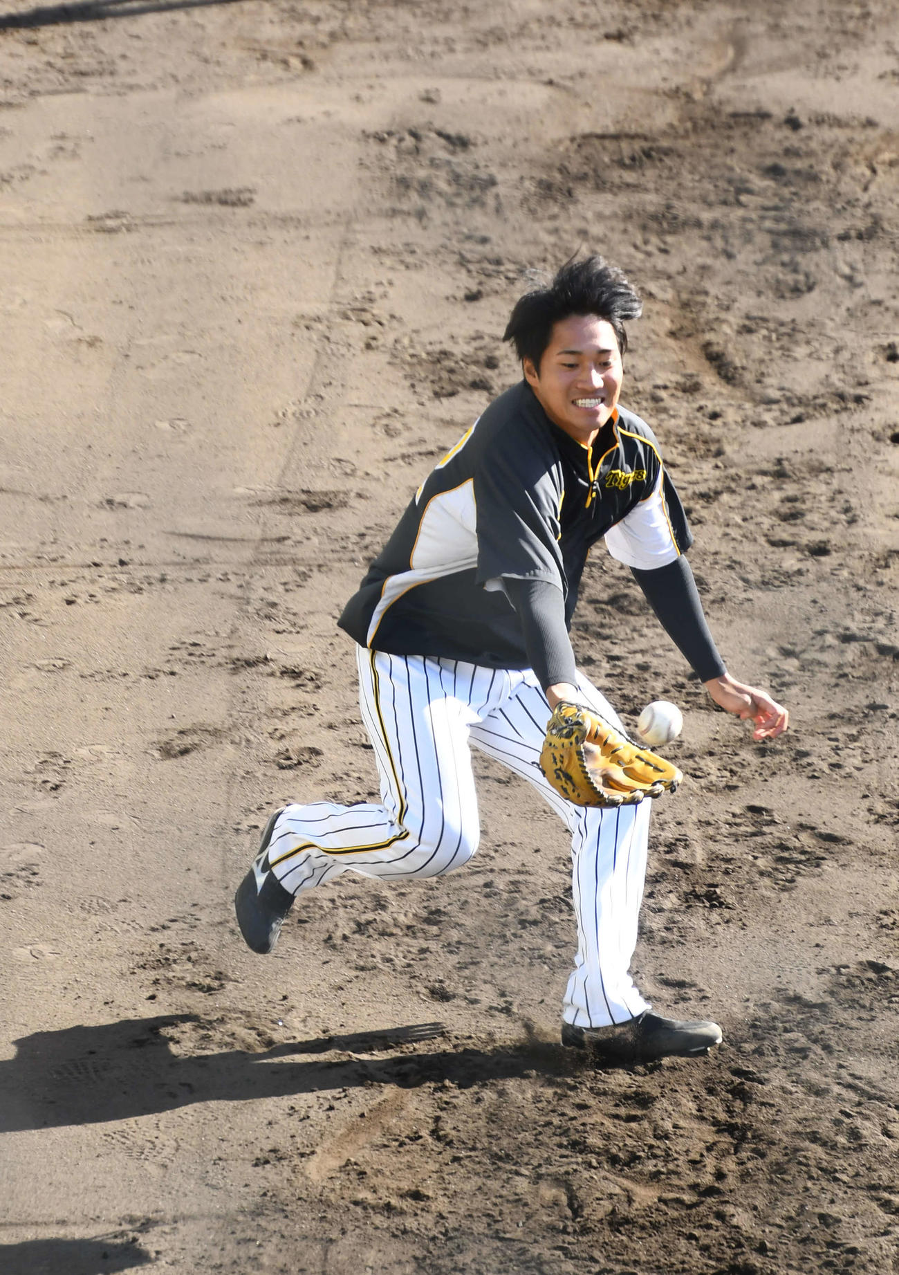 投手陣の下半身トレーニングで必死に捕球する阪神岩田将（撮影・中野椋）
