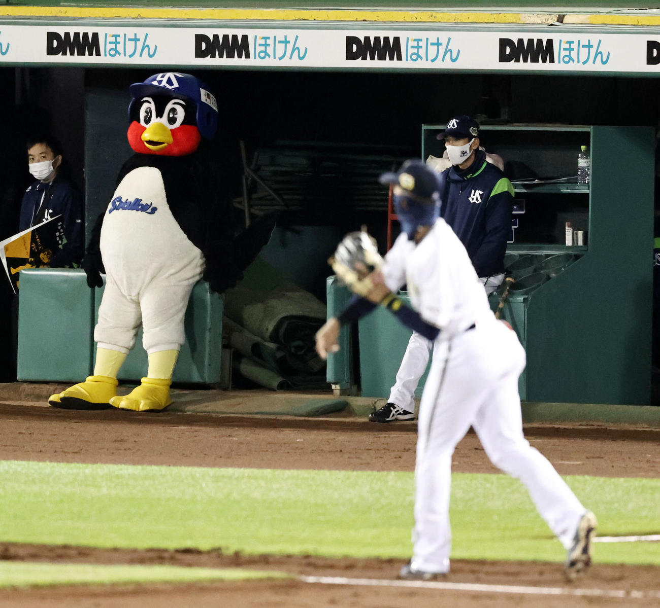 オリックス対ヤクルト　オリックスナインのシートノックを見守るつば九郎（撮影・加藤哉）