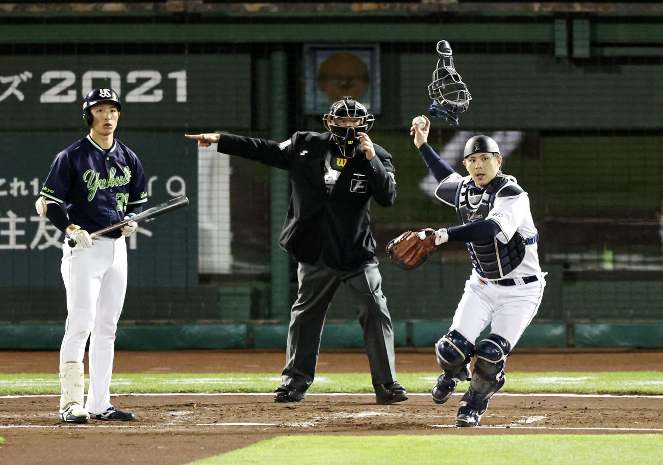 オリックス対ヤクルト　3回表ヤクルト無死二塁、若月健矢は打者宮本丈のとき二塁走者ホセ・オスナを挟殺する（撮影・加藤哉）