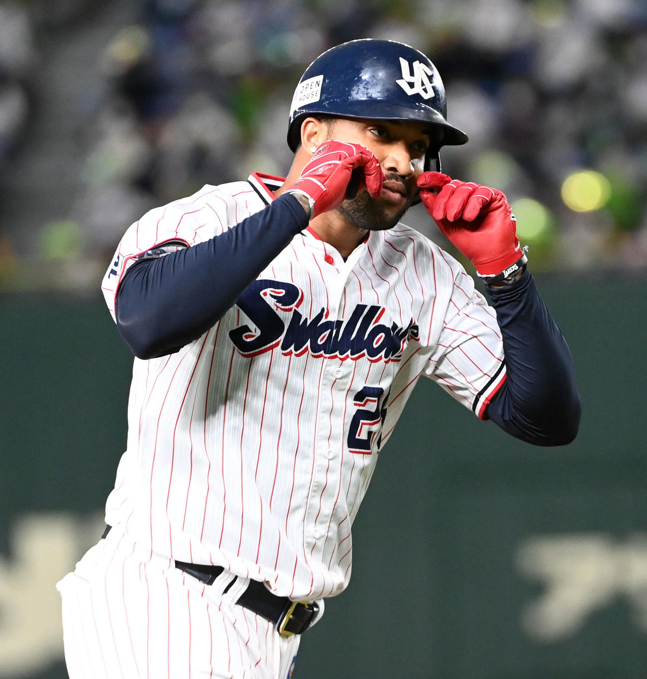 ヤクルトのドミンゴ・サンタナ（2021年11月24日撮影）