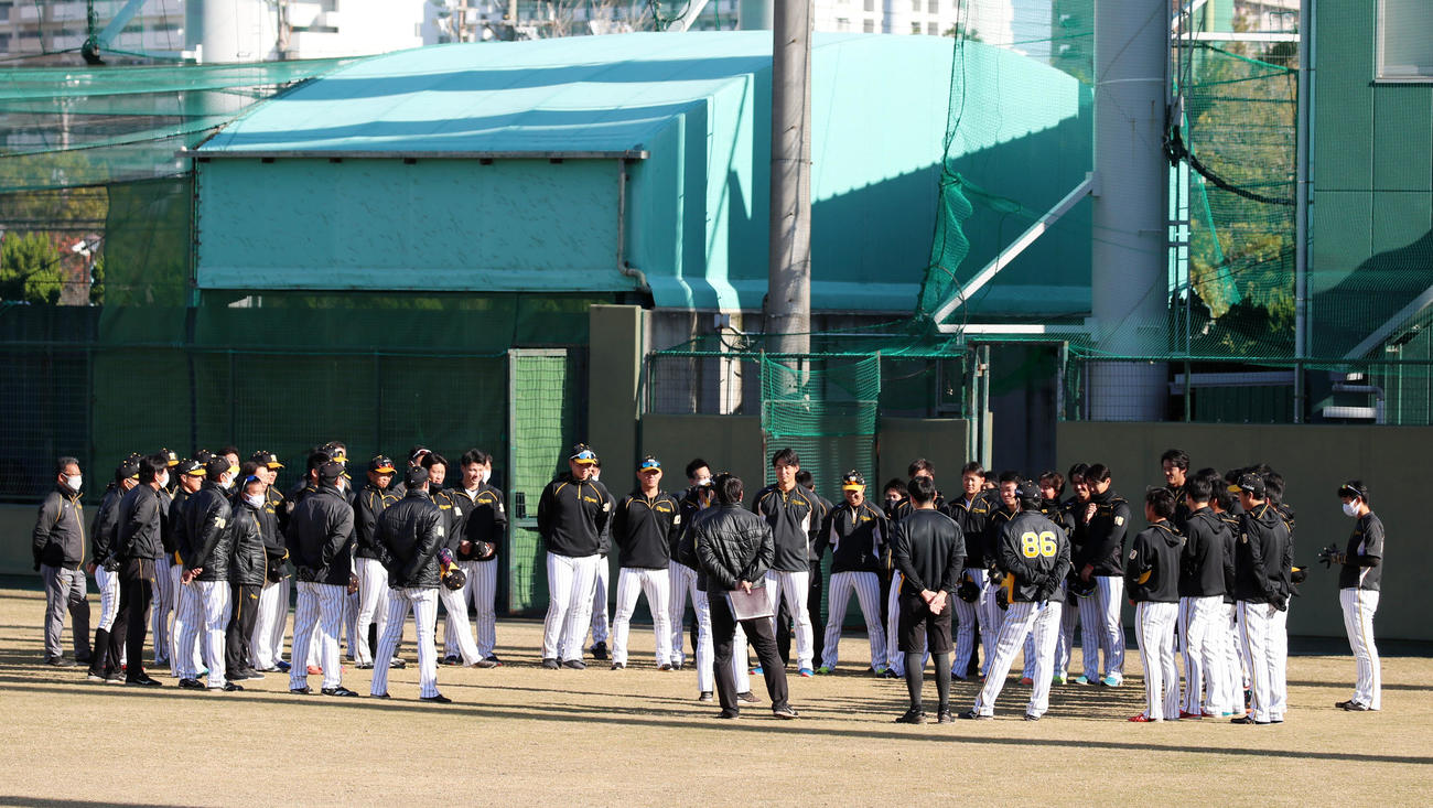 練習開始前ミーティングで平田監督の言葉を聞く阪神ナイン（撮影・加藤哉）