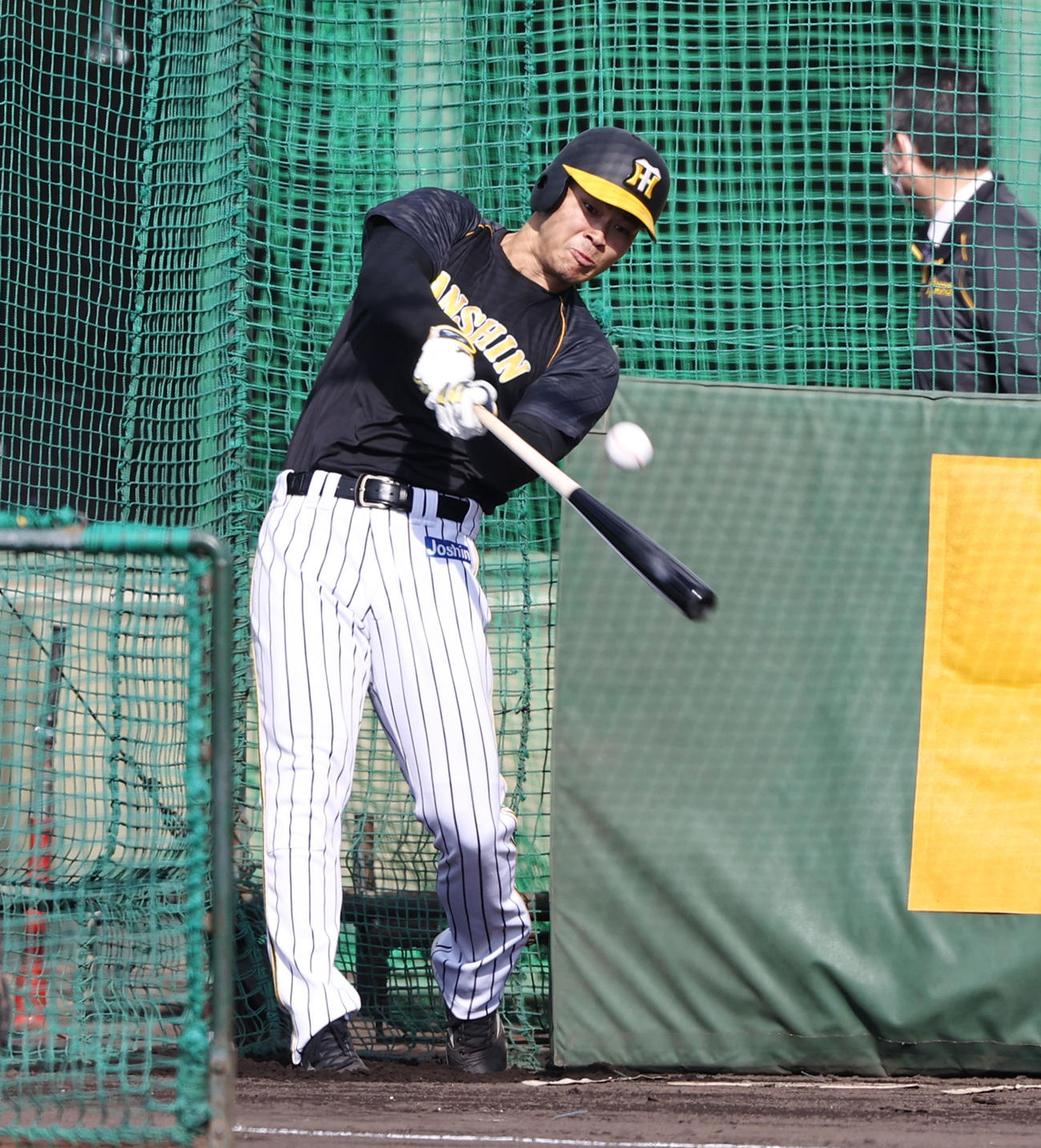フリー打撃を行う佐藤輝（撮影・加藤哉）