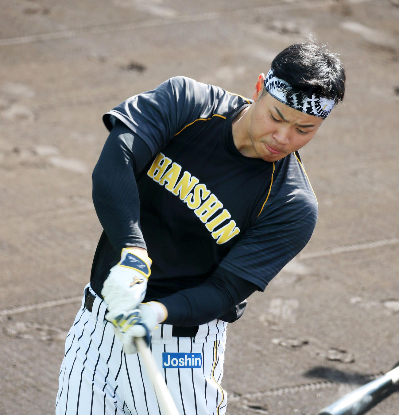 ティー打撃を行う阪神佐藤輝明（撮影・加藤哉）