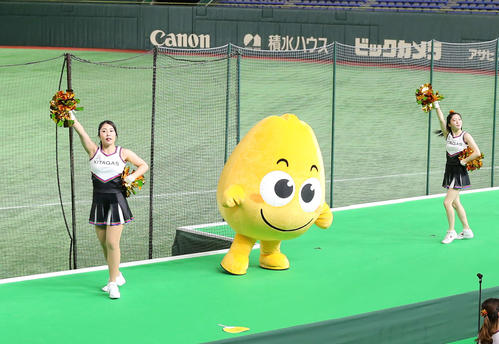 北海道ガス対セガサミー 北海道ガスの応援に駆けつけたてん太くん(撮影・河野匠)