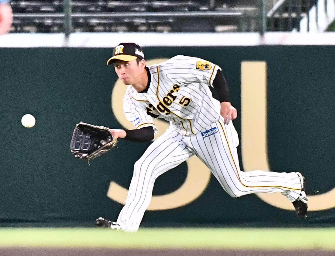 阪神近本光司（2021年5月13日撮影）