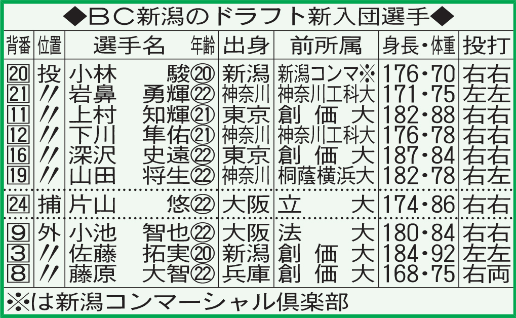 BC新潟のドラフト新入団選手