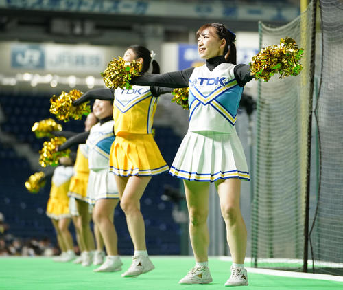 TDK対NTT東日本　スタンドで応援するTDKのチアガール（撮影・菅敏）