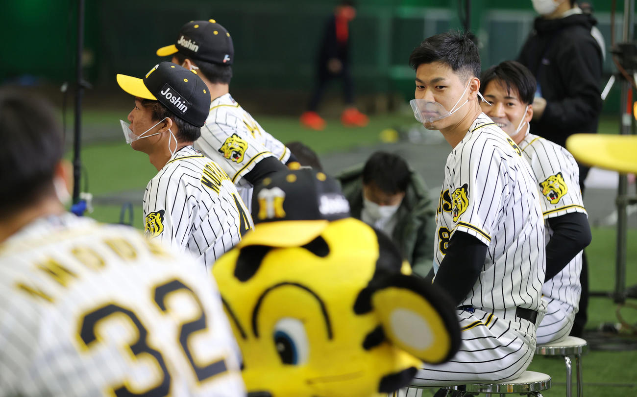ファン感謝デーで小さな帽子をかぶるトラッキーを見つめる佐藤輝（撮影・前田充）