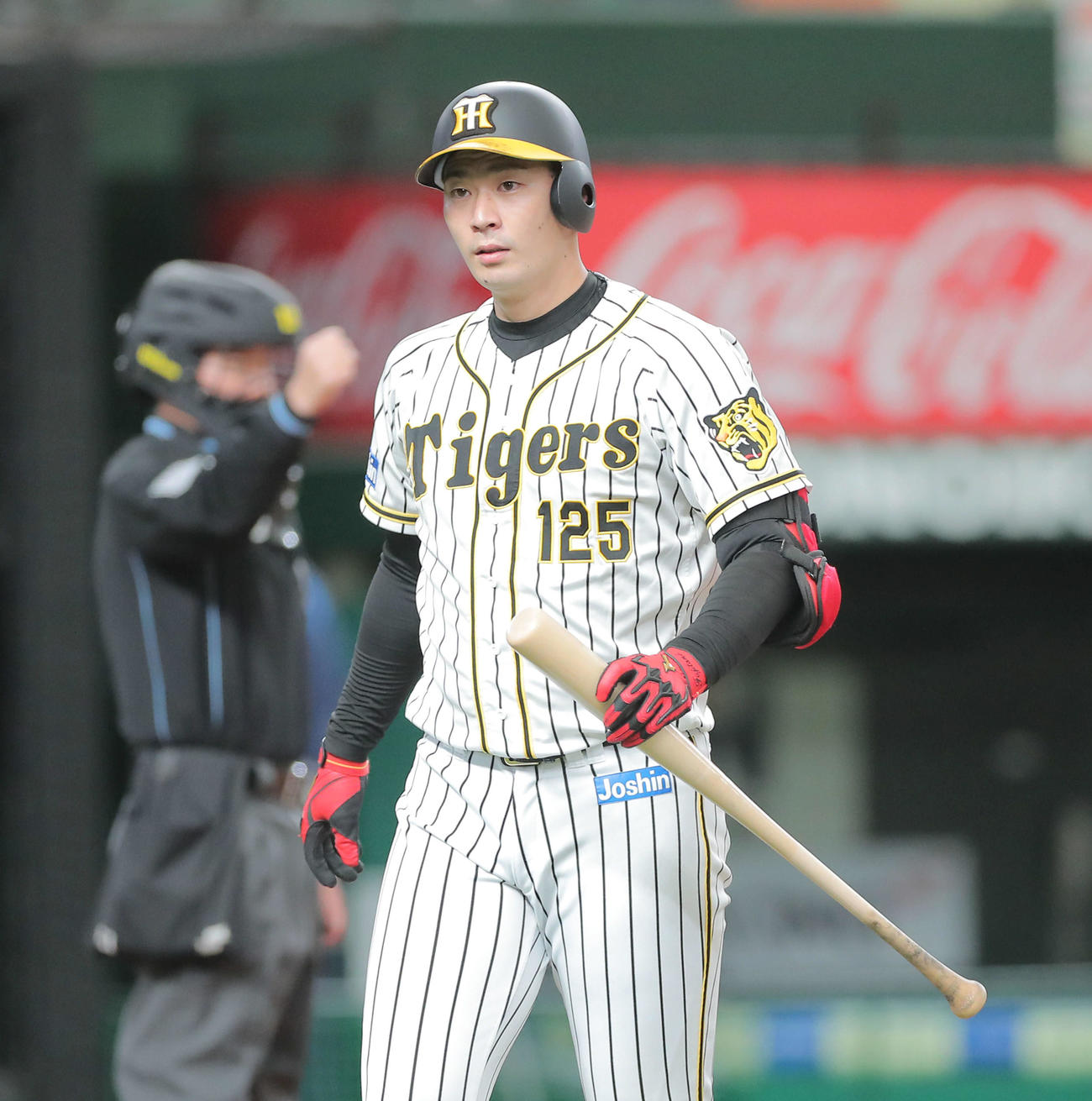 12球団合同トライアウト　第1打席で三振に倒れる阪神藤谷（撮影・河田真司）
