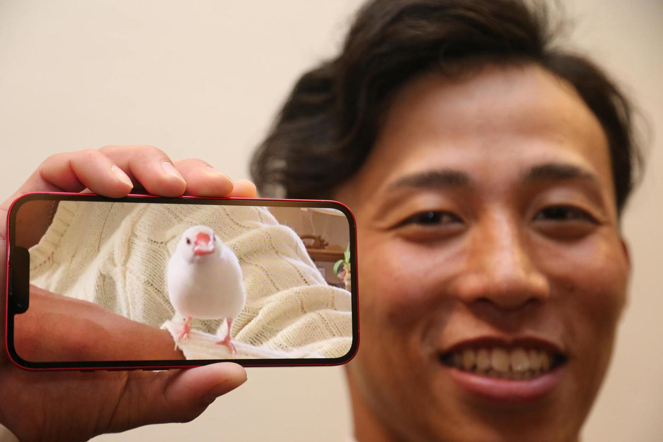 仮契約を終えた野村勇が大事にしている愛鳥の「ちゅんちゅん」（撮影・梅根麻紀）