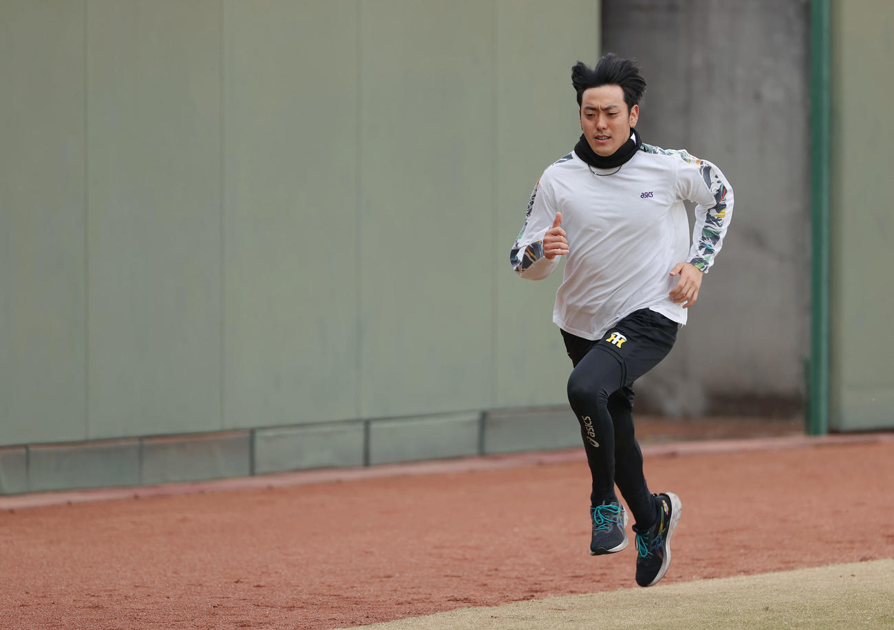 外野で走り込む阪神小川（代表撮影）