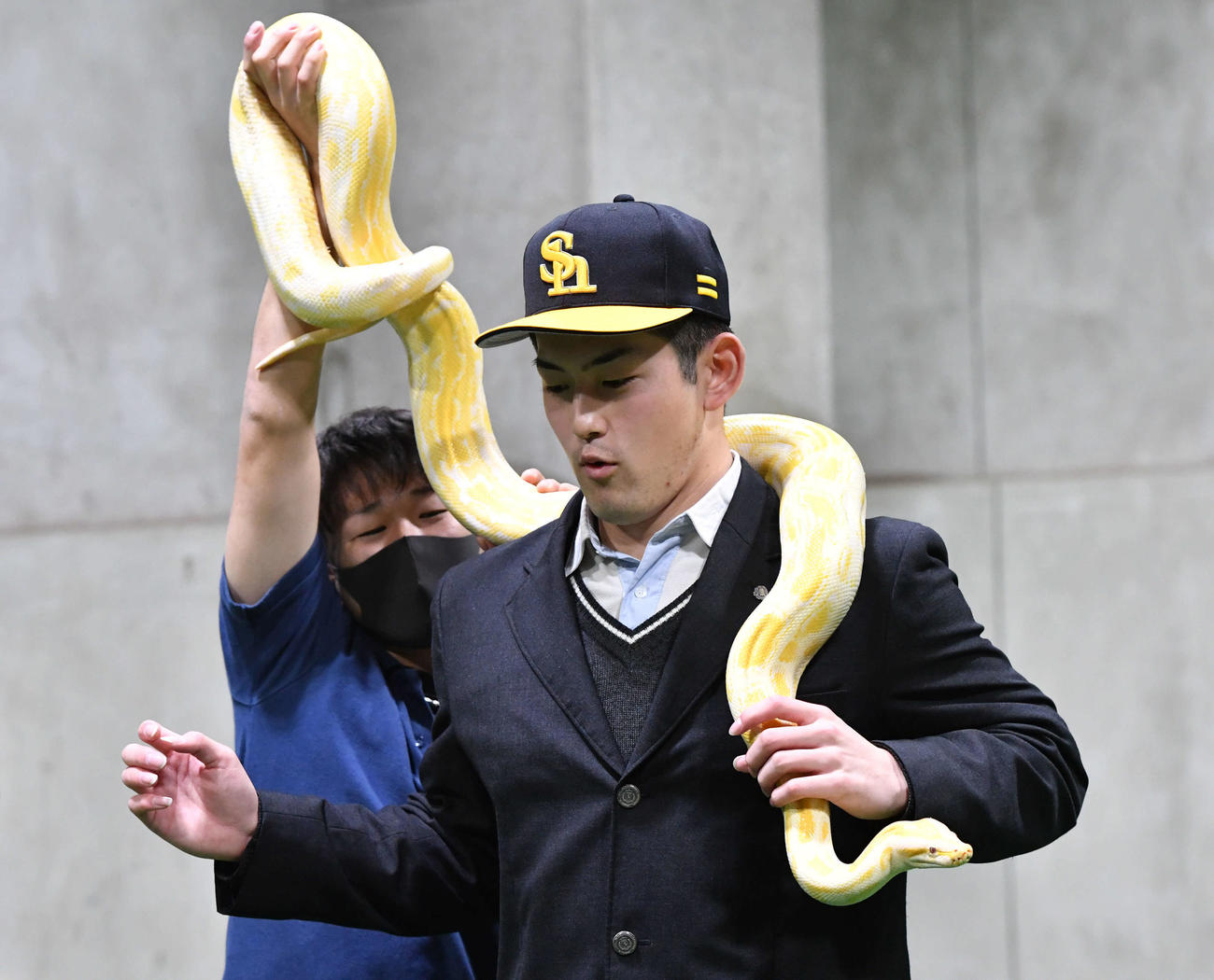 幸運を呼ぶとされるビルマニシキヘビを肩に巻かれる風間球打（撮影・岩下翔太）