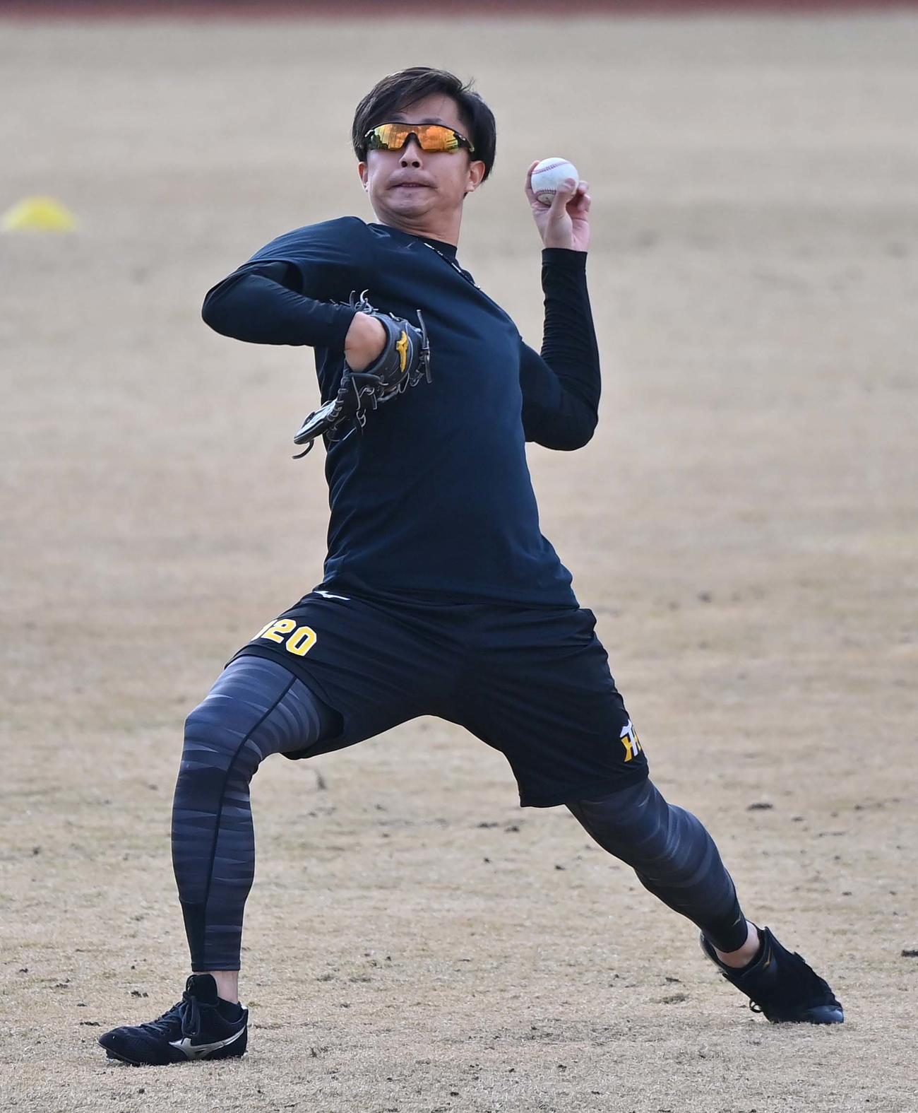 肩の調子を確認しながらキャッチボールをする島本（代表撮影）