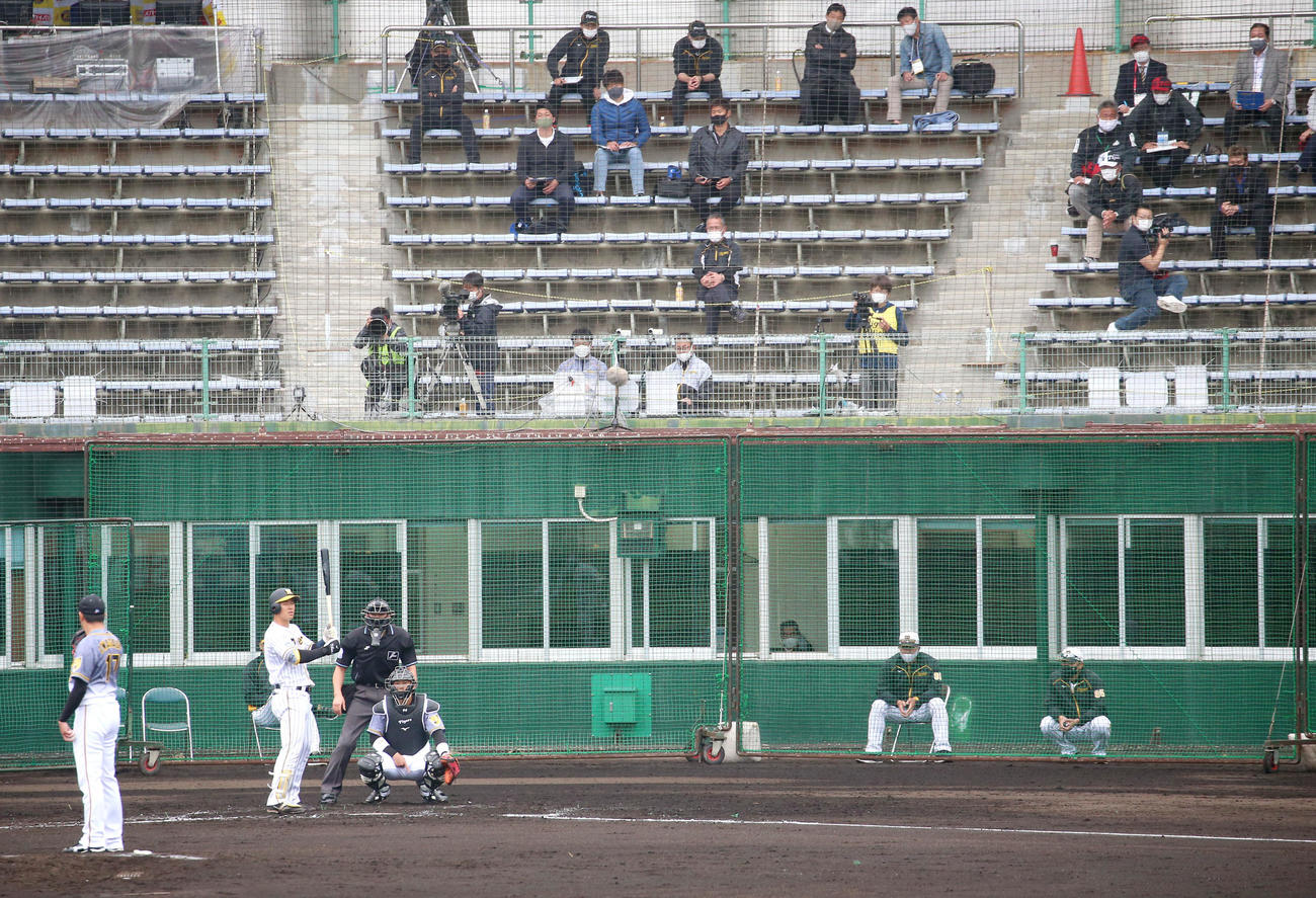 2月、視察する新庄氏（観客席中段右端）を横目に打席に立つ佐藤輝（撮影・上山淳一）